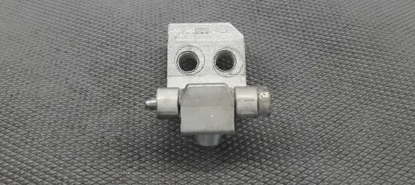 Peugeot 206 Front door lower hinge 