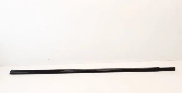 BMW X5 E53 Rear door trim (molding)