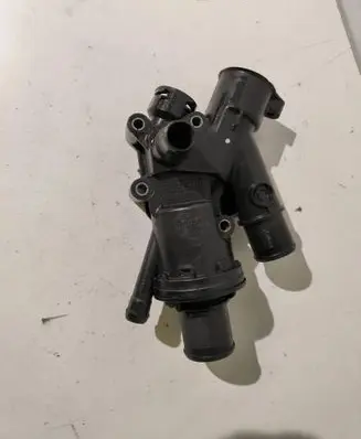 Thermostat/thermostat housing