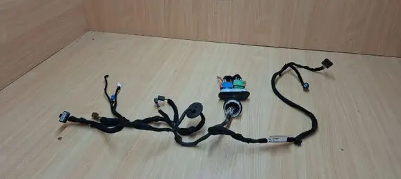 Citroen DS5 Front door wiring loom 9814548980 55QYDE007