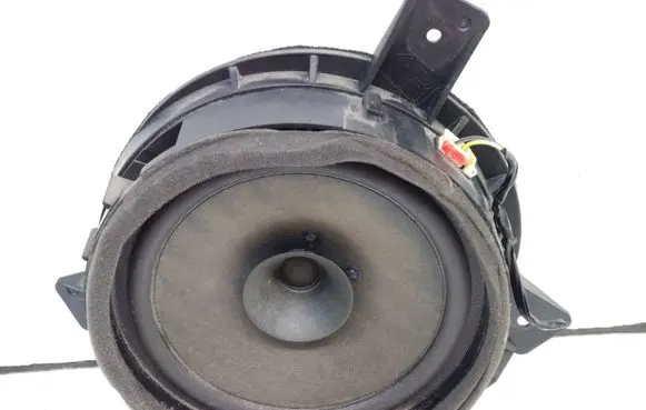 Rear door speaker