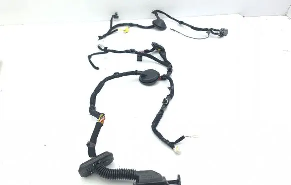 KIA Niro Front door wiring loom 91600A0040