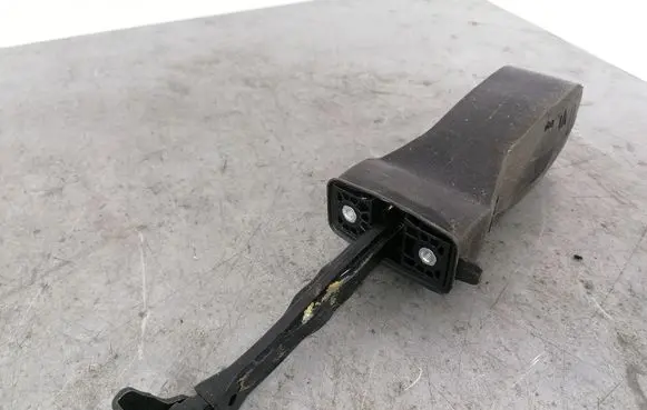 Volkswagen PASSAT B8 Front door check strap stopper 3G0837249A