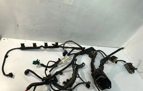 Engine installation wiring loom