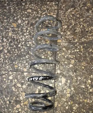 Volkswagen PASSAT B6 Rear coil spring