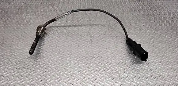 Opel Insignia A Exhaust gas temperature sensor 55566185