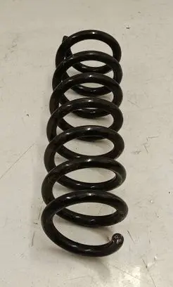 Rear coil spring
