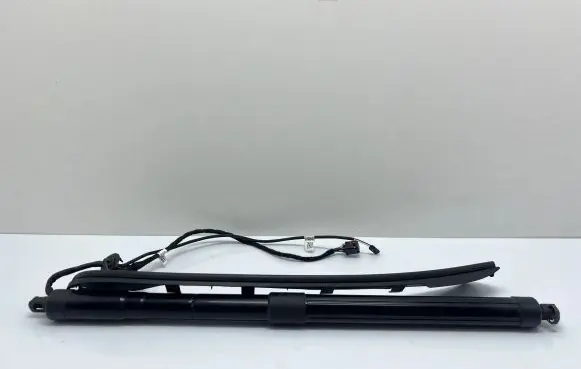 Tailgate/trunk strut/damper