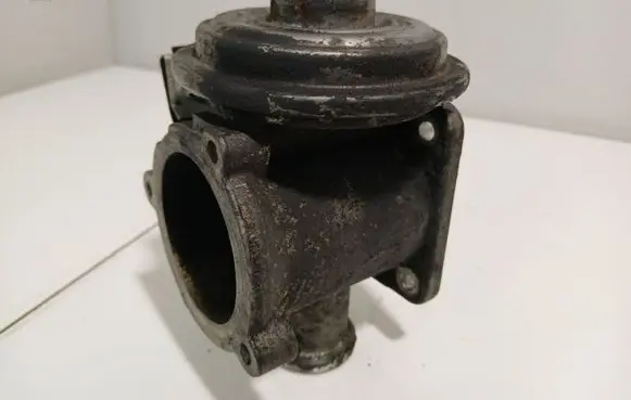 EGR valve
