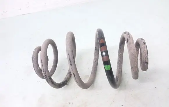 Volkswagen PASSAT B5 Rear coil spring