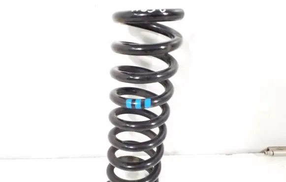 Mercedes-Benz SLK R172 Rear coil spring A2103243404