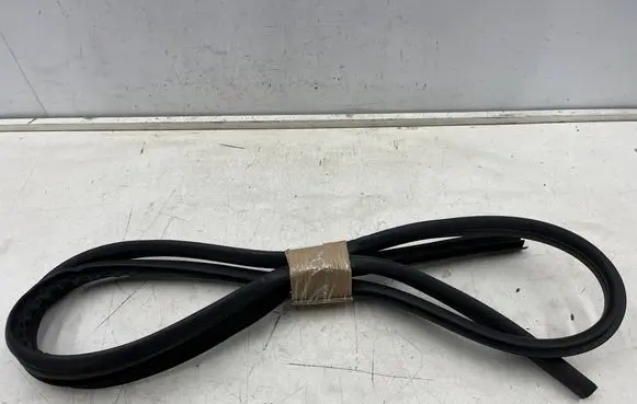Ford C-MAX II Front door rubber seal 