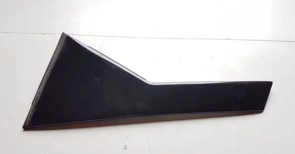 Rear door trim (molding)