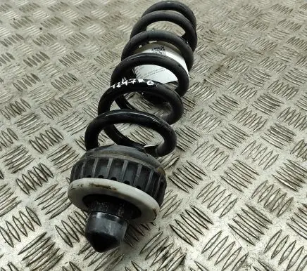 BMW 4 G22 G23 G24 G26 Rear coil spring 1543698