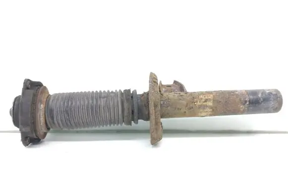 Volkswagen PASSAT B6 Front shock absorber/damper 3C0413031N 024904778