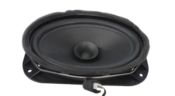 Rear door speaker