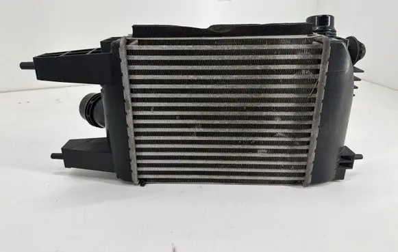 Nissan Juke I F15 Intercooler radiator 144613ZU0B
