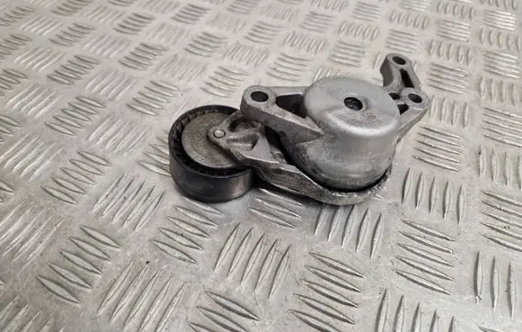 Peugeot Expert Generator/alternator belt tensioner 9844010980