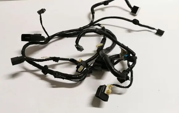 Ford Mustang VI Other wiring loom EU5T14D231DBE