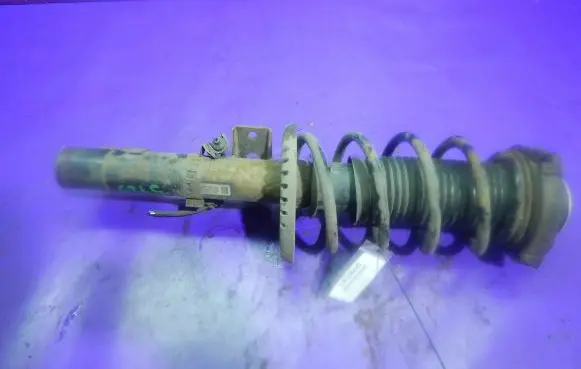 Skoda Roomster (5J) Front shock absorber with coil spring 6Q0413031BJ