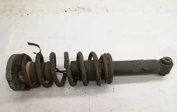 BMW X3 F25 Rear shock absorber/damper 6796317