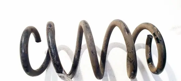 Tesla Model 3 Rear coil spring 104447201E