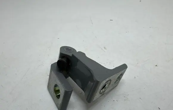 Volkswagen ID.3 Rear door lower hinge 8X0831404F