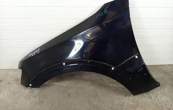 Mitsubishi Pajero Fender BLOTNIKLP