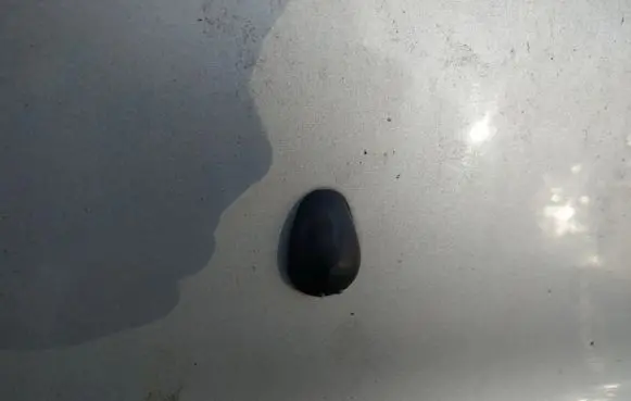 Nissan Almera Tino Windshield washer spray nozzle 