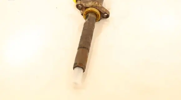 Citroen C3 Fuel injector 0445110311