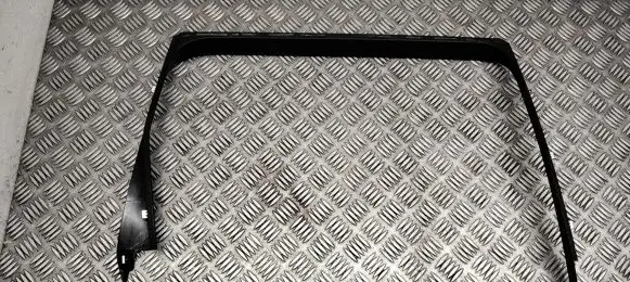 Volvo V70 Rear door glass trim molding