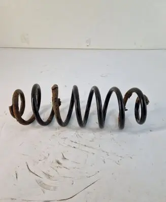 Rear coil spring