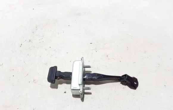 Renault Austral Front door check strap stopper 804309225R