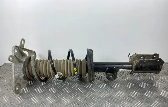 Jeep Renegade Rear shock absorber with coil spring 00521686930