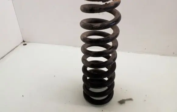 Front coil spring