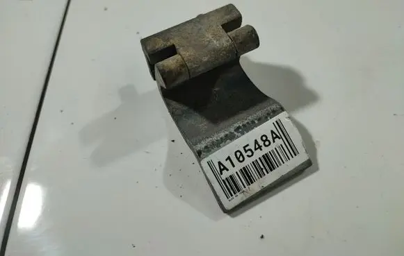 Rear door lower hinge
