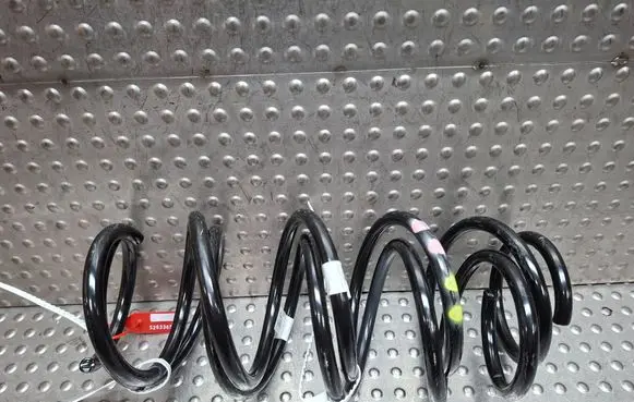 Fiat Tipo Front coil spring 52097413