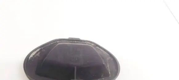Opel Signum Headlight/headlamp dust cover 15619200