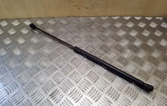 Tailgate/trunk strut/damper