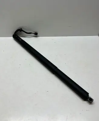 Tailgate/trunk strut/damper