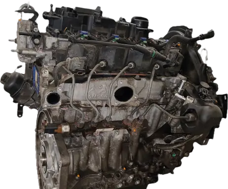 Ford Grand Tourneo Connect Engine XWGB