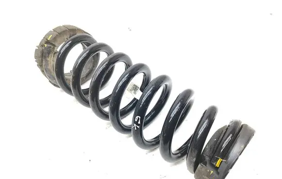 Rear coil spring