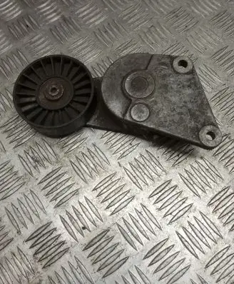 Peugeot 406 Generator/alternator belt tensioner