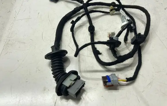 Rear door wiring loom