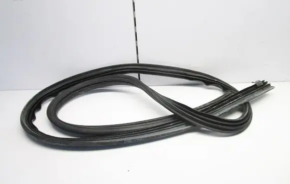 Nissan Qashqai Rear door rubber seal (on body) 