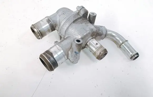 Thermostat/thermostat housing