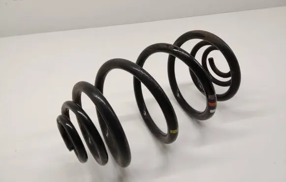 Rear coil spring
