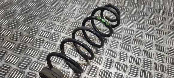 Rear coil spring