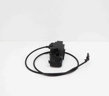Tesla Model S Rear door lock 600891100D