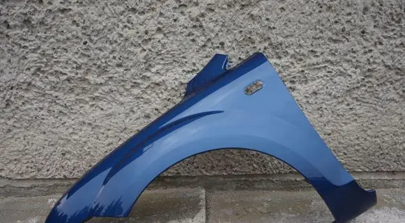 Ford Focus Fender
